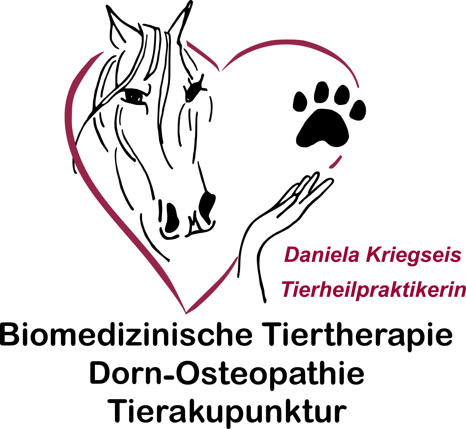 Biomedizinische Tiertherapie         Dorn-Osteopathie Tierakupunktur